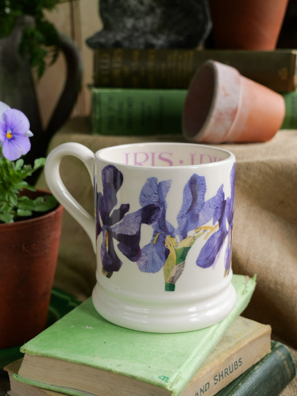 Emma Bridgewater Mug - ‘Iris’