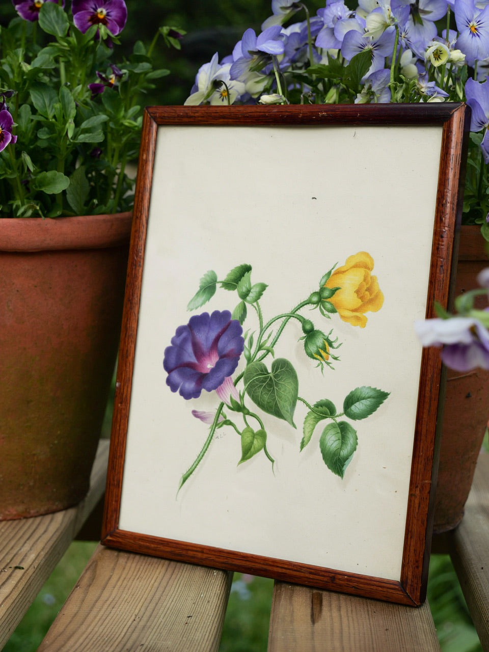 19th Century Victorian Floral Watercolour Painting