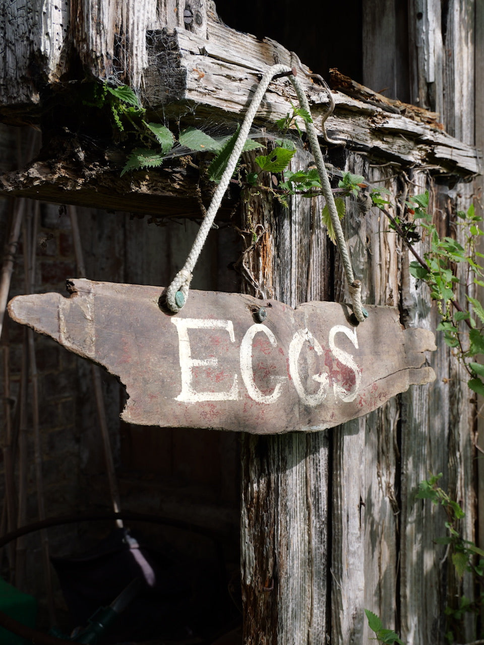 Vintage ‘Eggs’ Sign