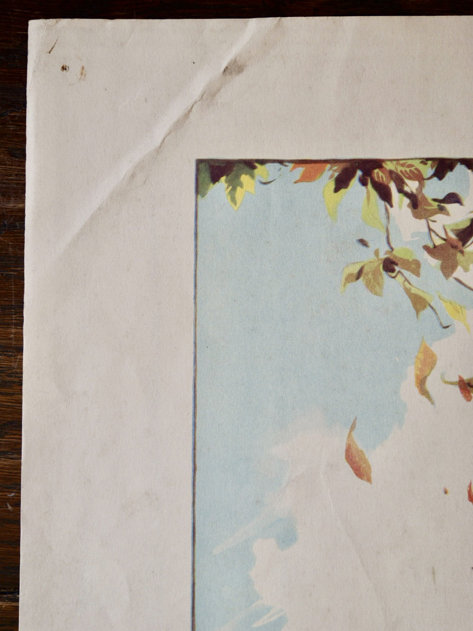 Vintage Poster - Autumn Leaves