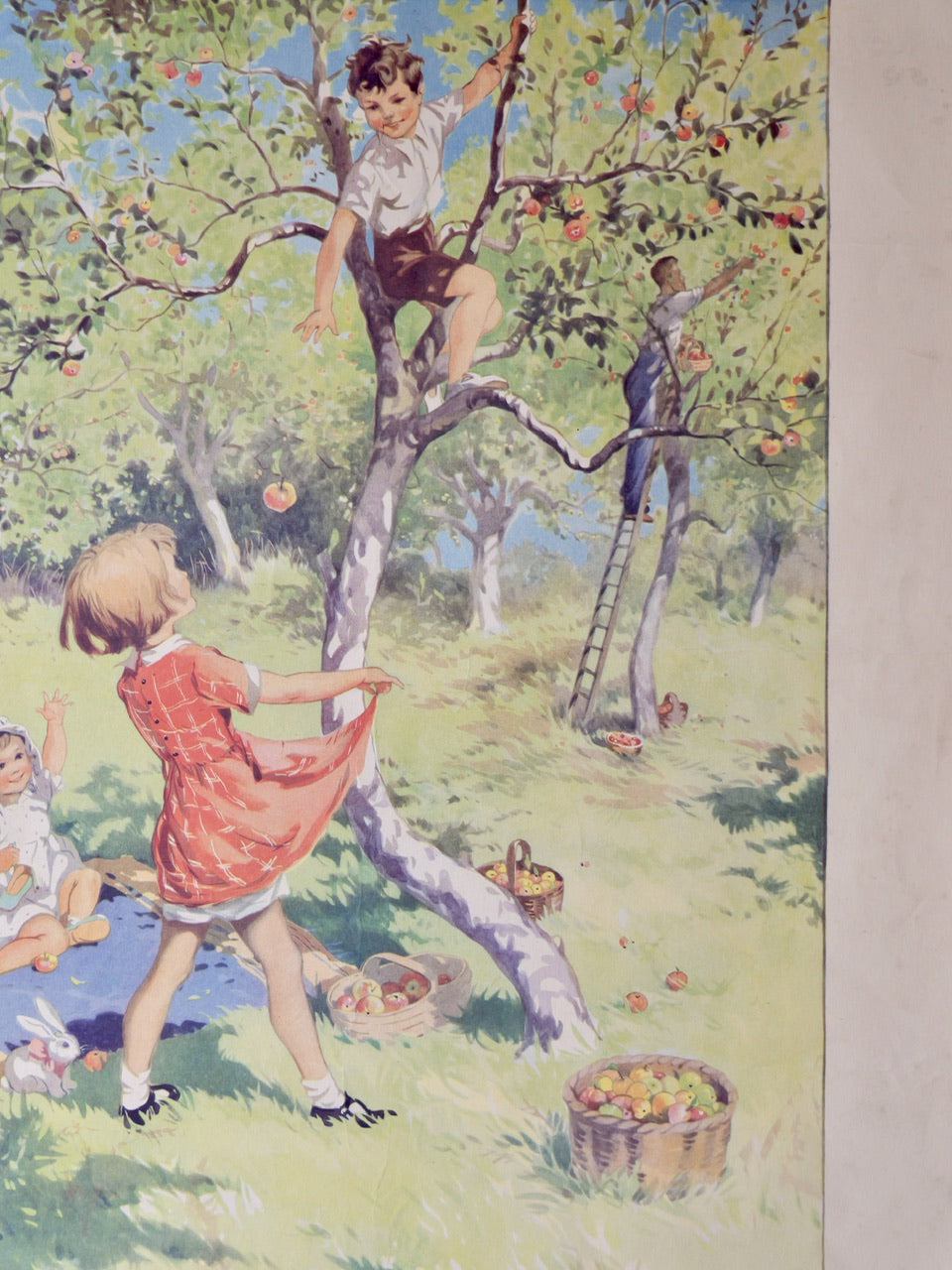 Vintage Poster - The Apple Orchard