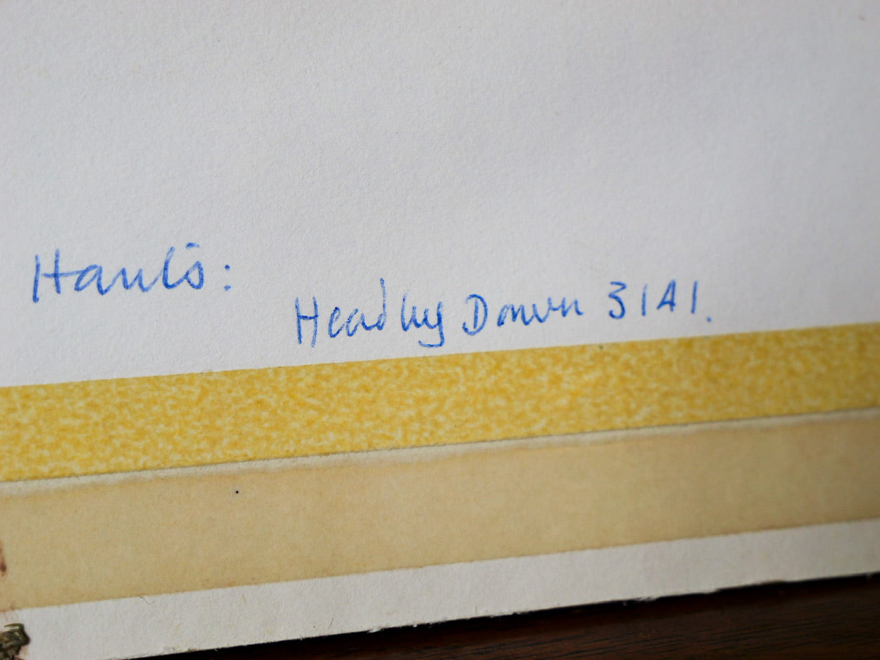 Vintage Original Print - ‘Wild Rose & Honeysuckle’ by Margaret Greene