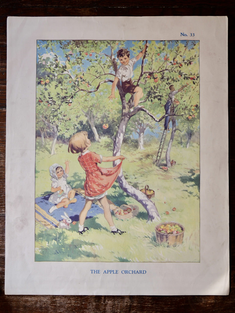 Vintage Poster - The Apple Orchard