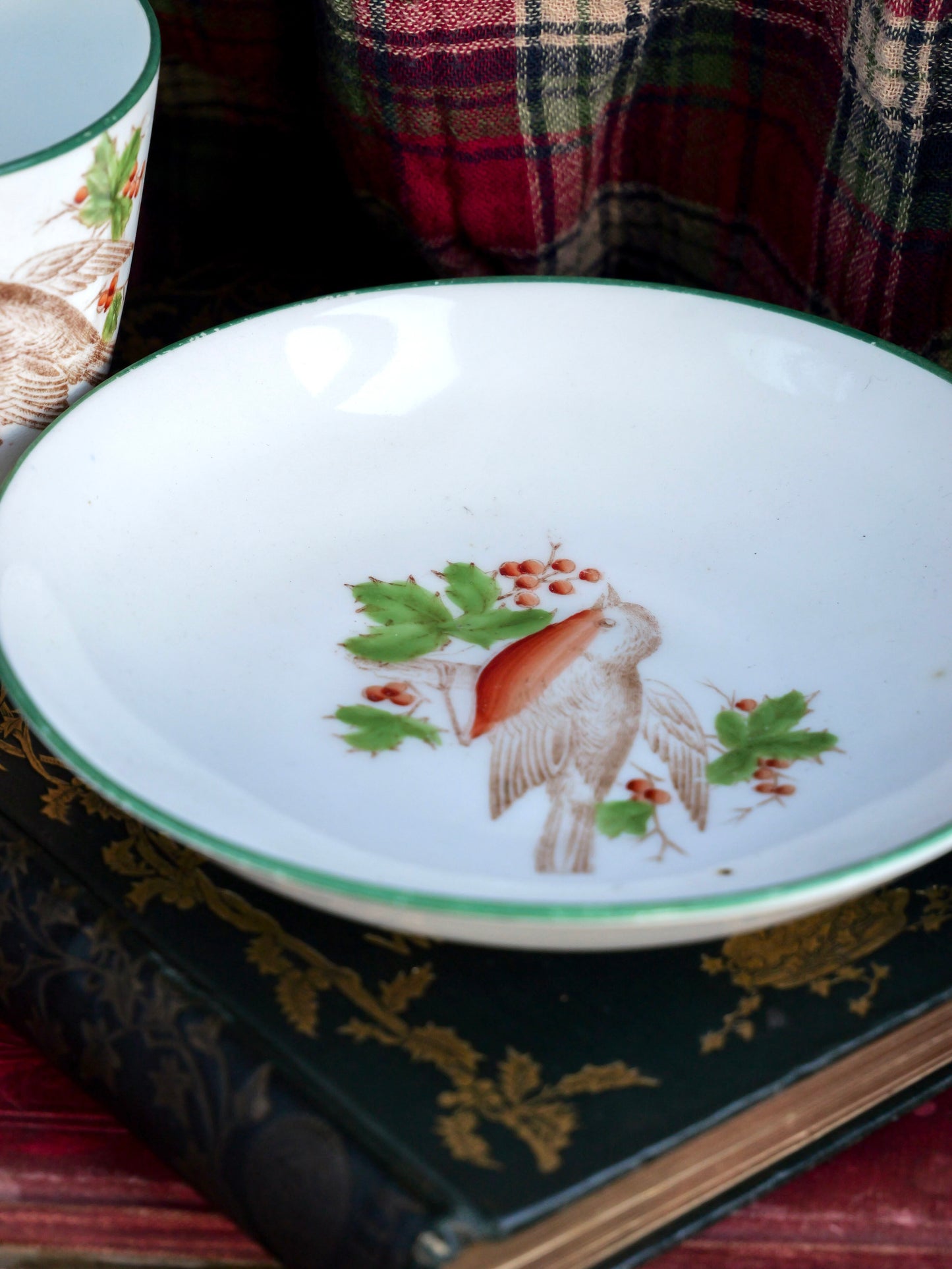 Victorian Robin Cup and Saucer