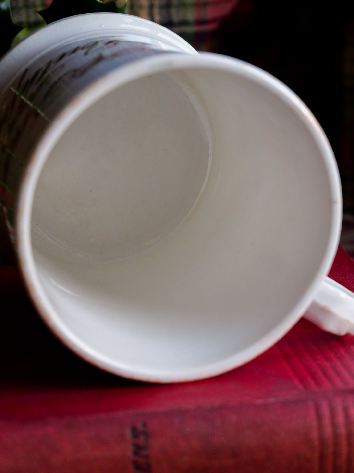 Victorian Hand-painted Southport Robin Mug