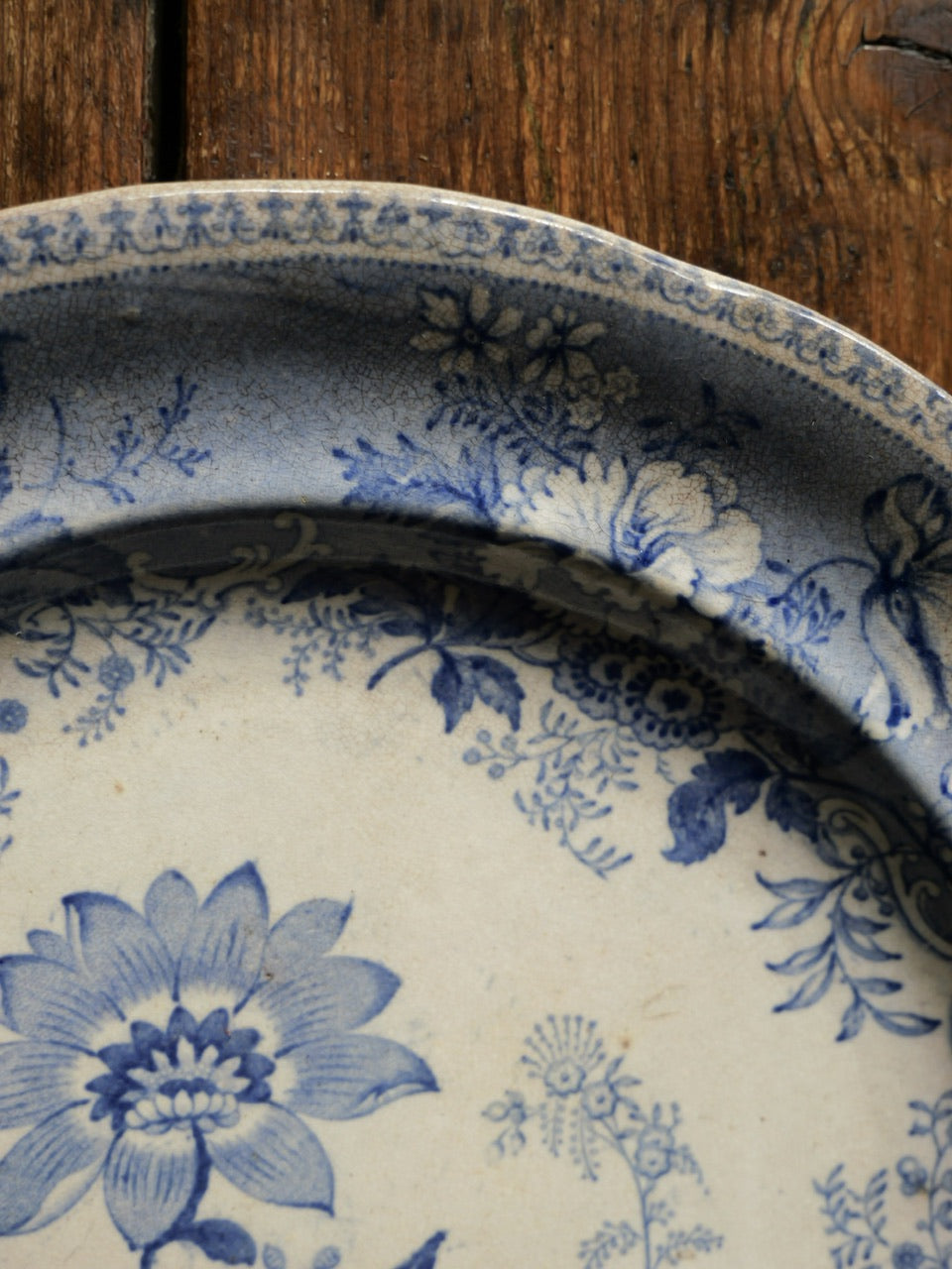 Antique Botanical Blue Transferware Plate