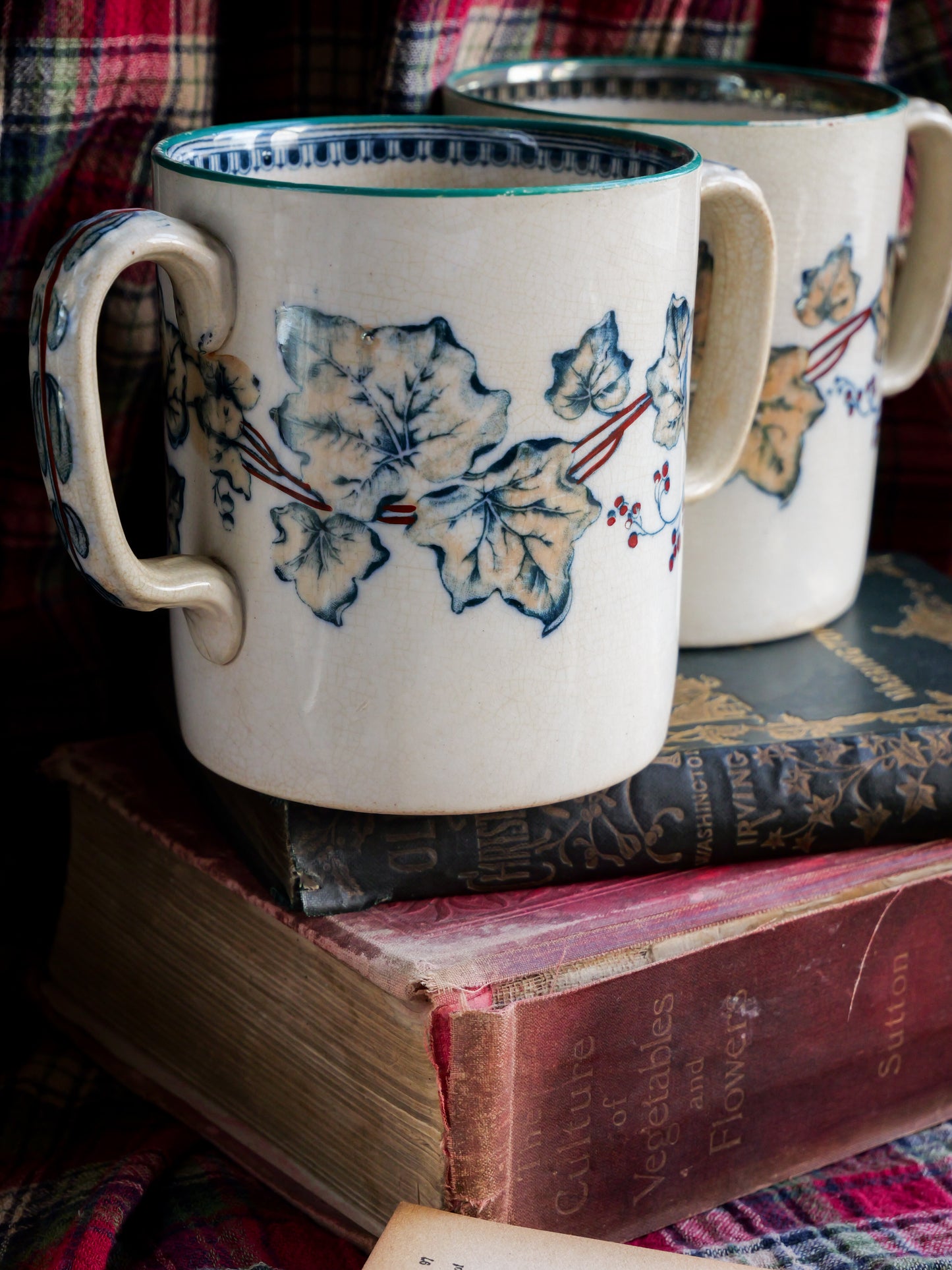 19th Century Double Handled Ivy Lustre Mug