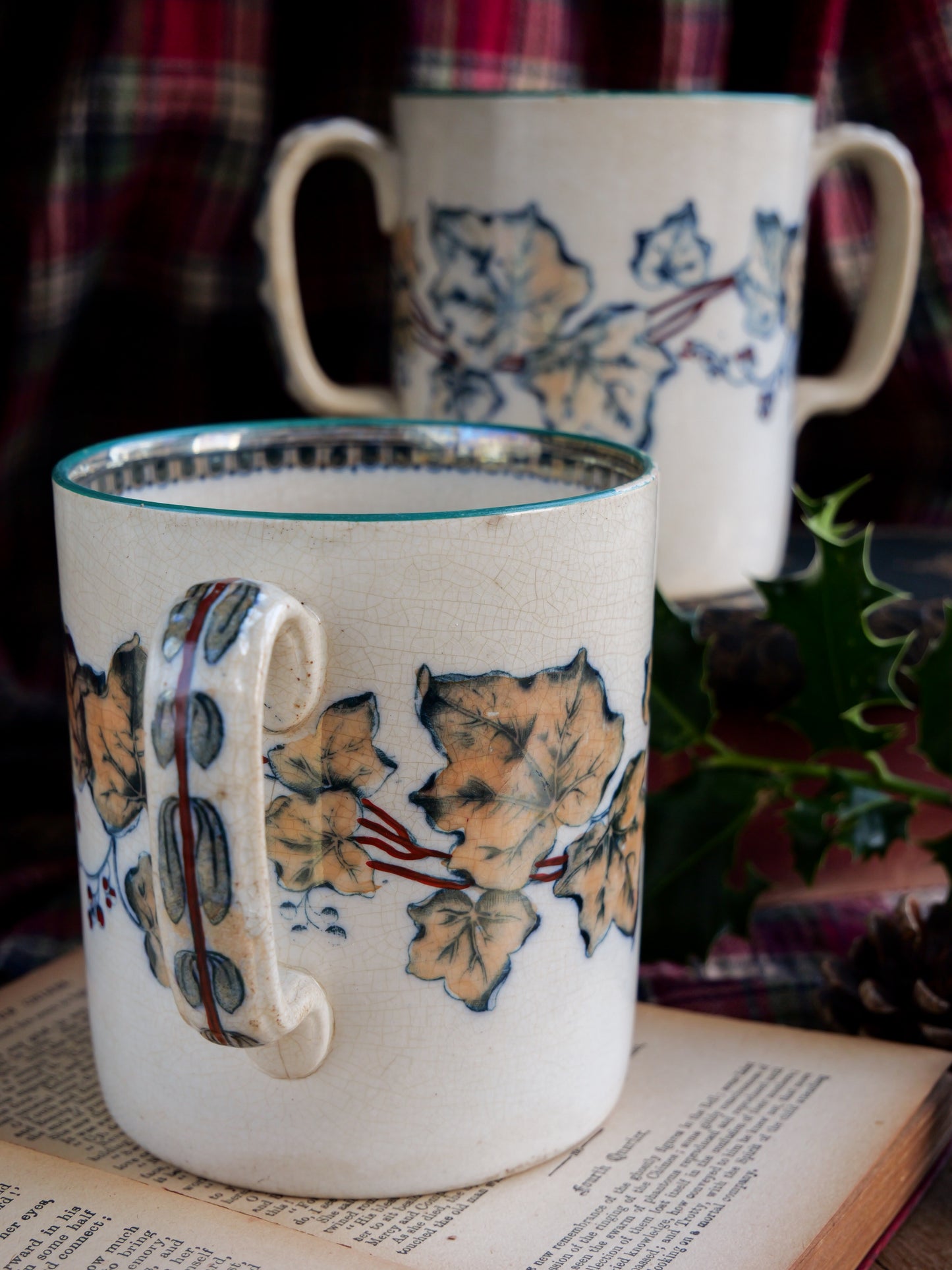 19th Century Double Handled Ivy Lustre Mug