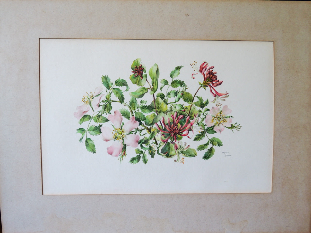 Vintage Original Print - ‘Wild Rose & Honeysuckle’ by Margaret Greene