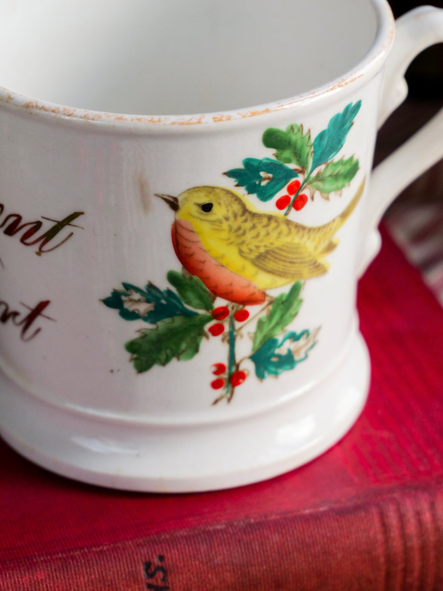 Victorian Hand-painted Southport Robin Mug