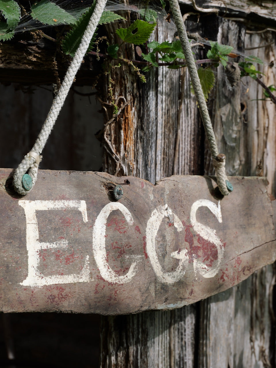 Vintage ‘Eggs’ Sign