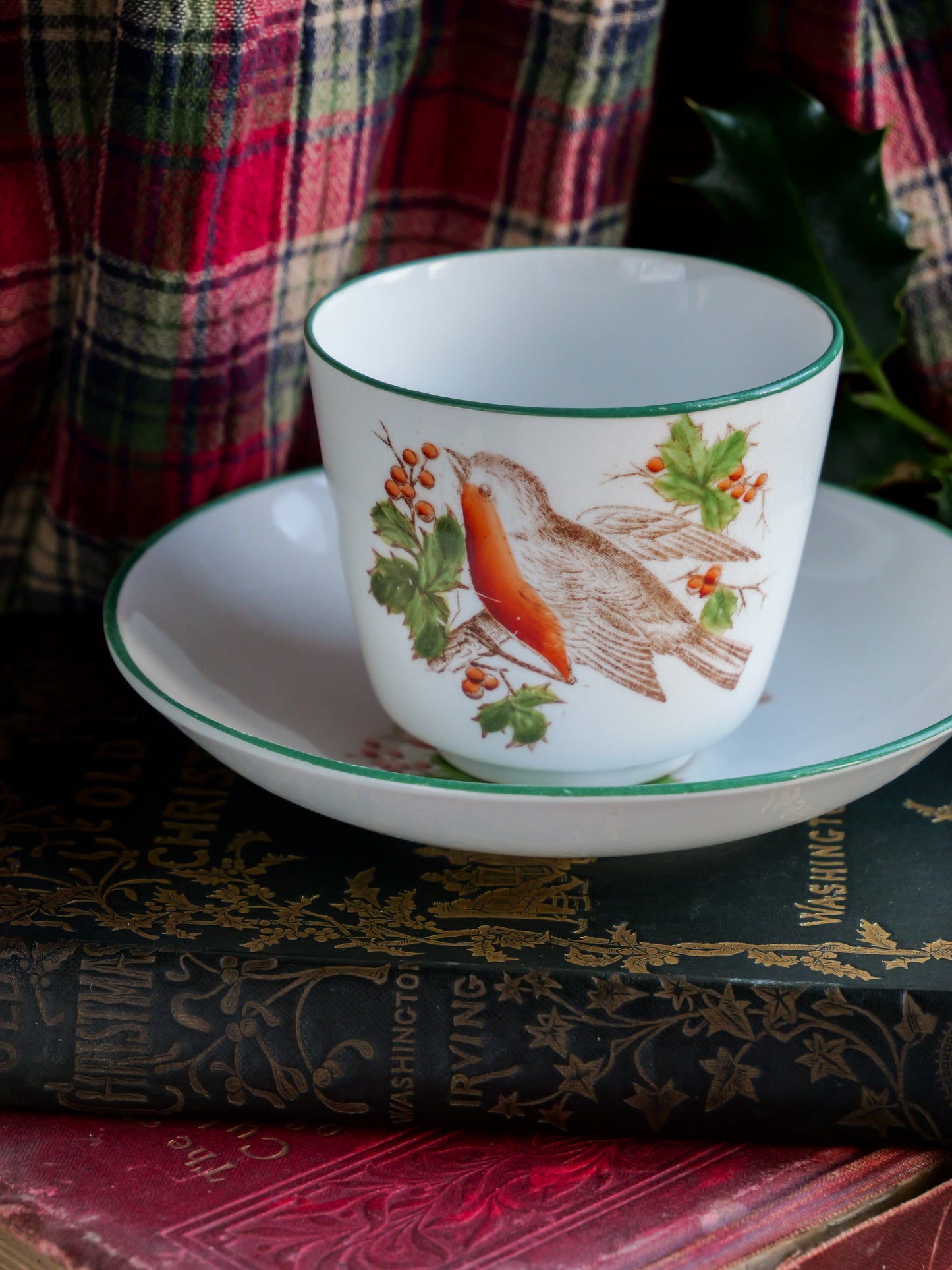 Victorian Robin Cup and Saucer