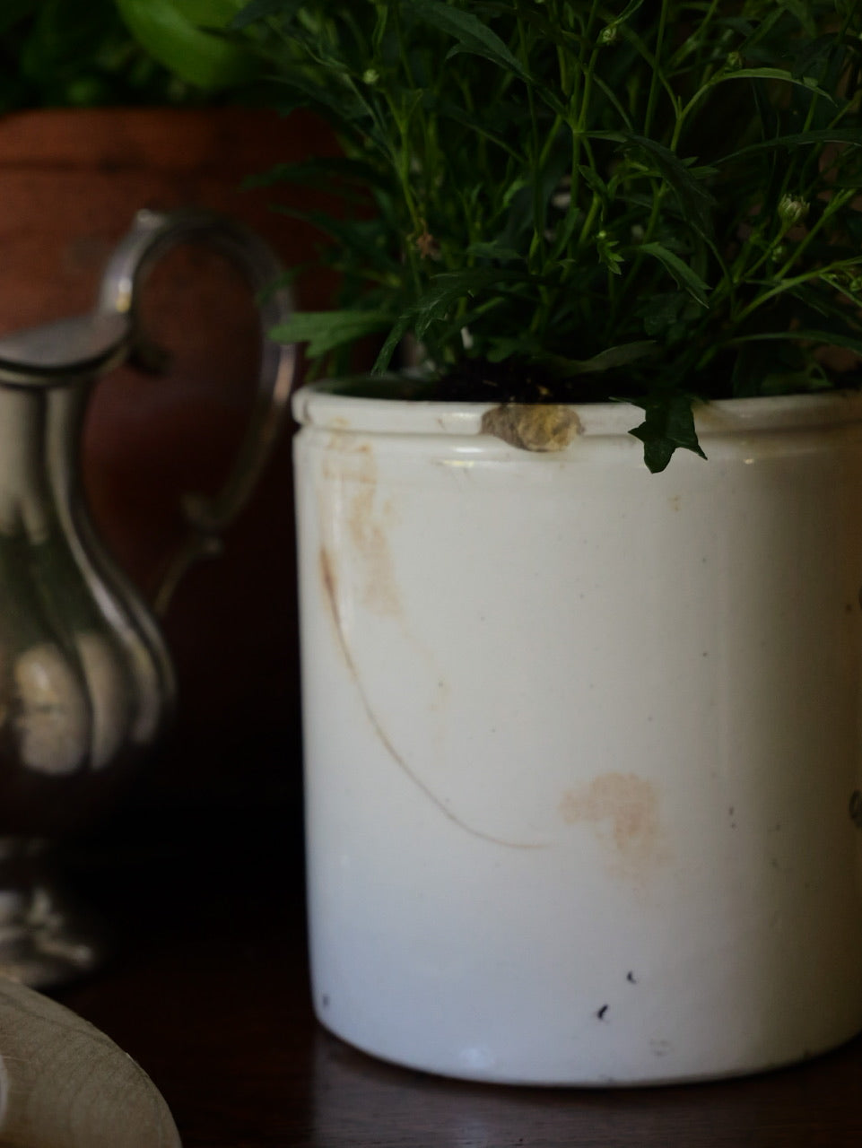 Antique James Keiller & Sons Marmalade Pot