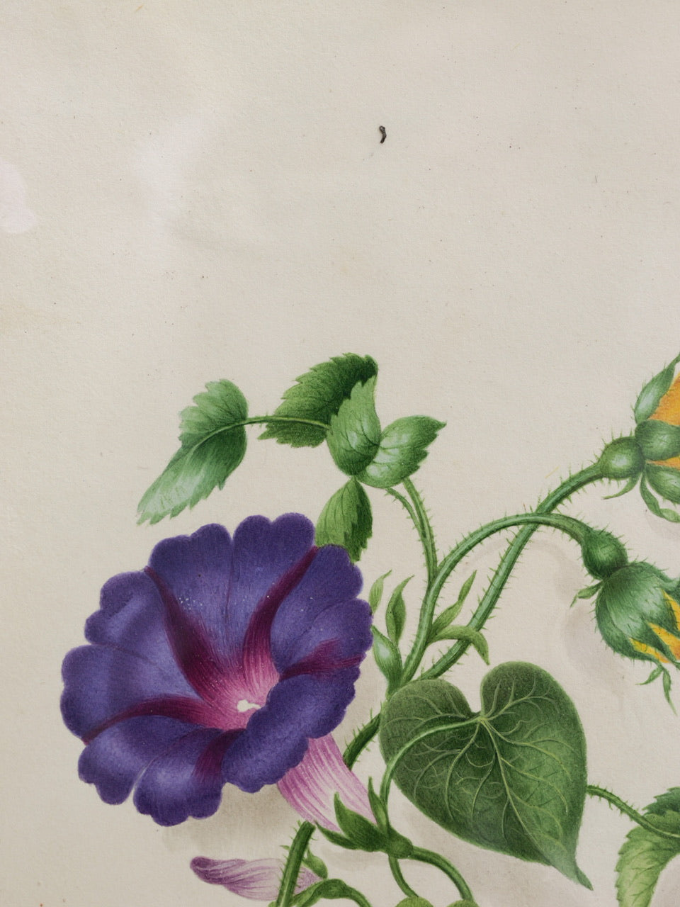 19th Century Victorian Floral Watercolour Painting