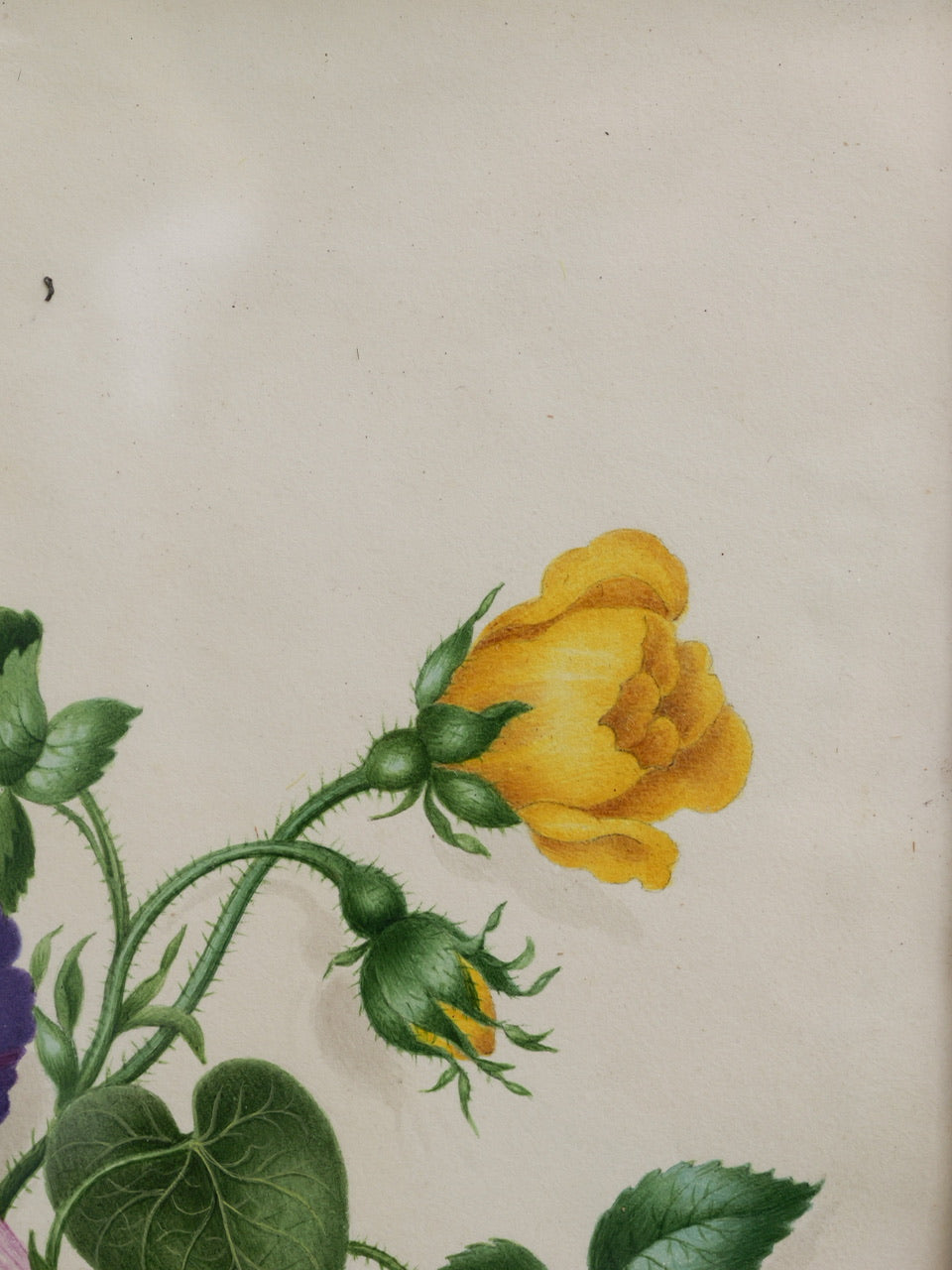 19th Century Victorian Floral Watercolour Painting
