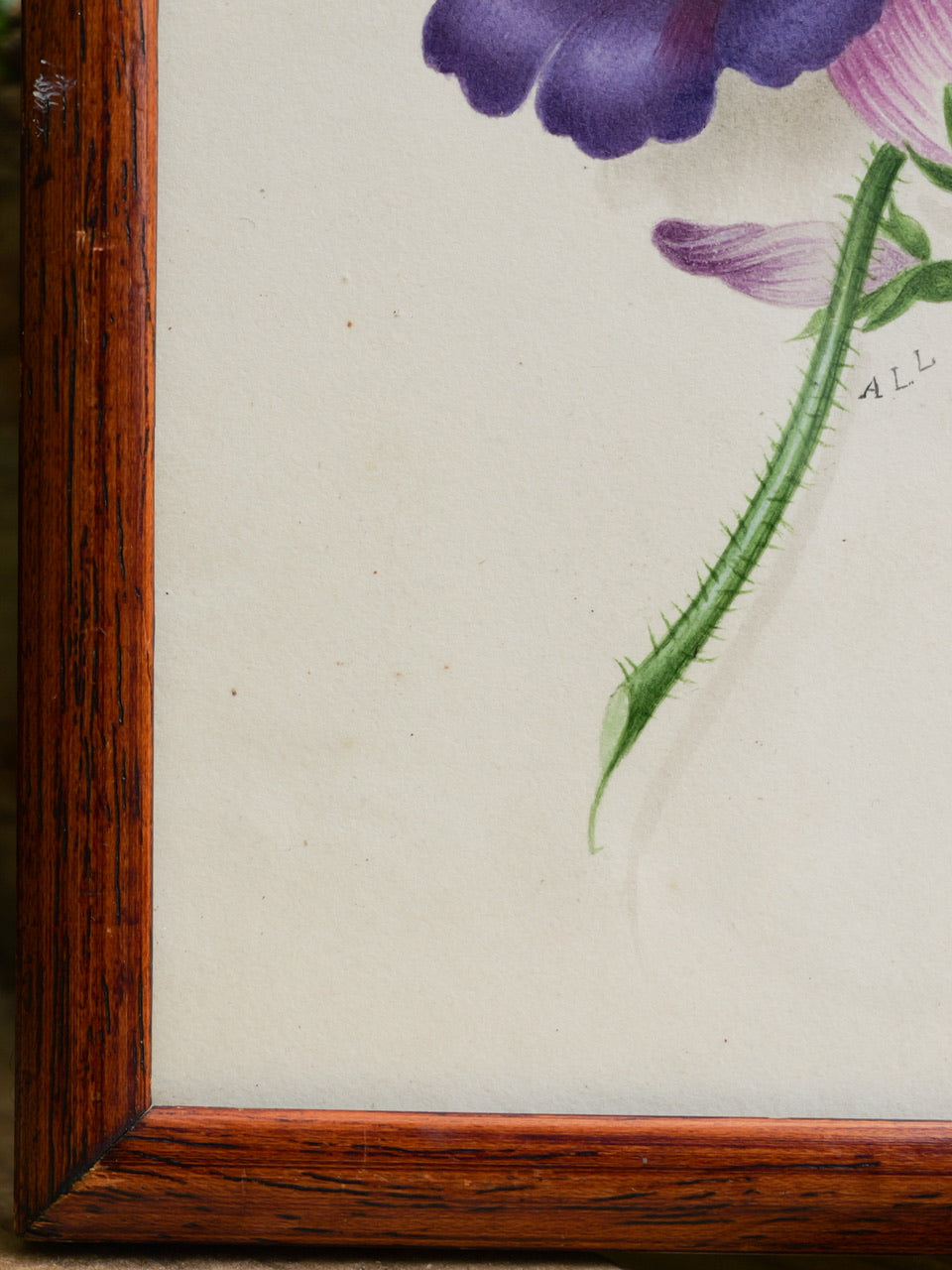19th Century Victorian Floral Watercolour Painting