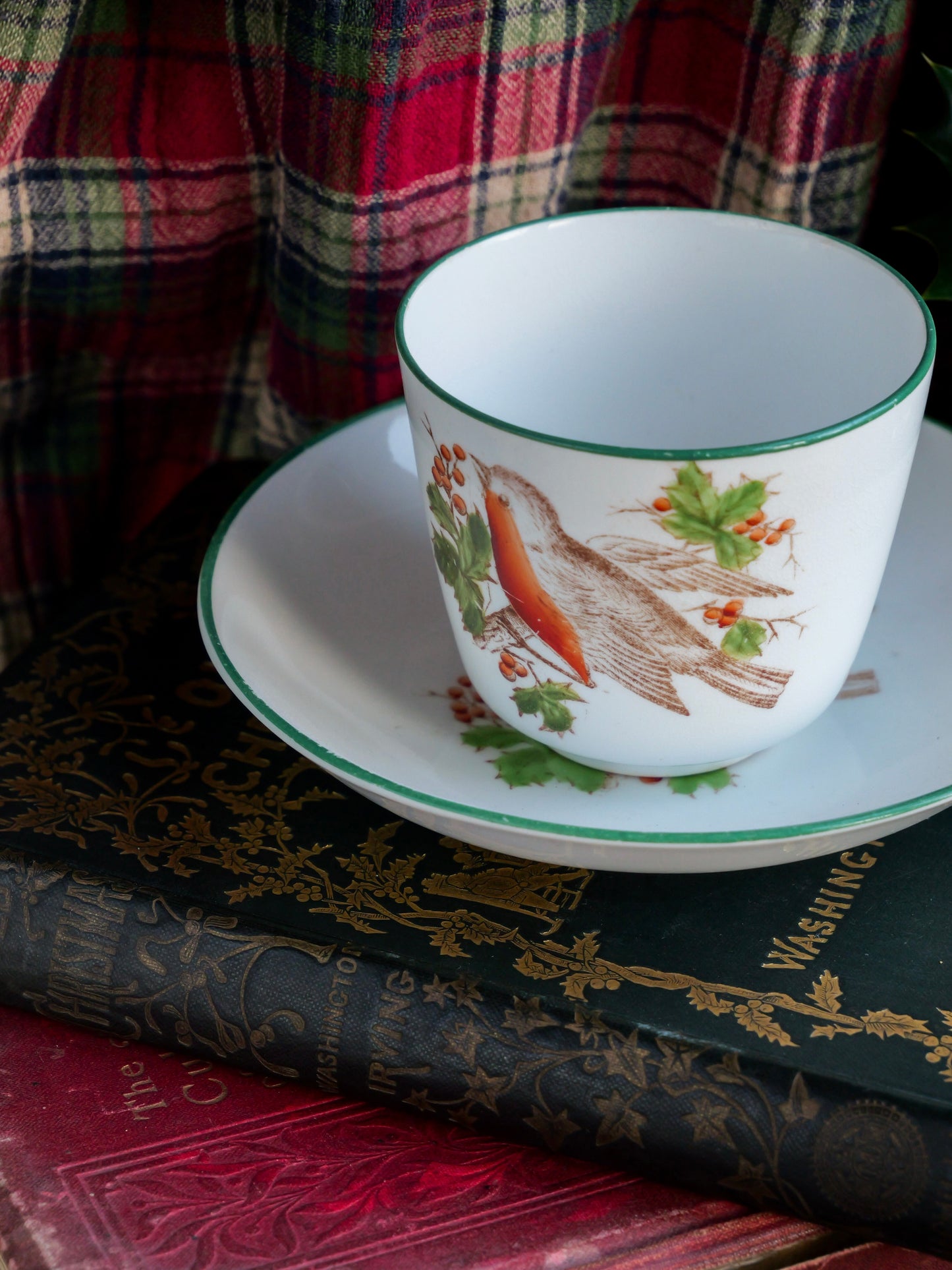Victorian Robin Cup and Saucer