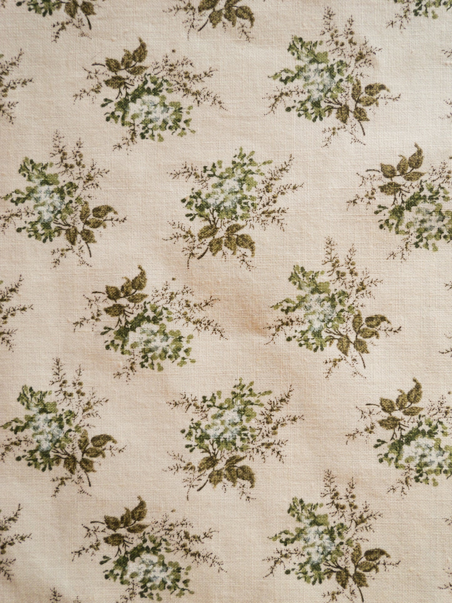 LENGTH: Vintage Green Sprig Cotton