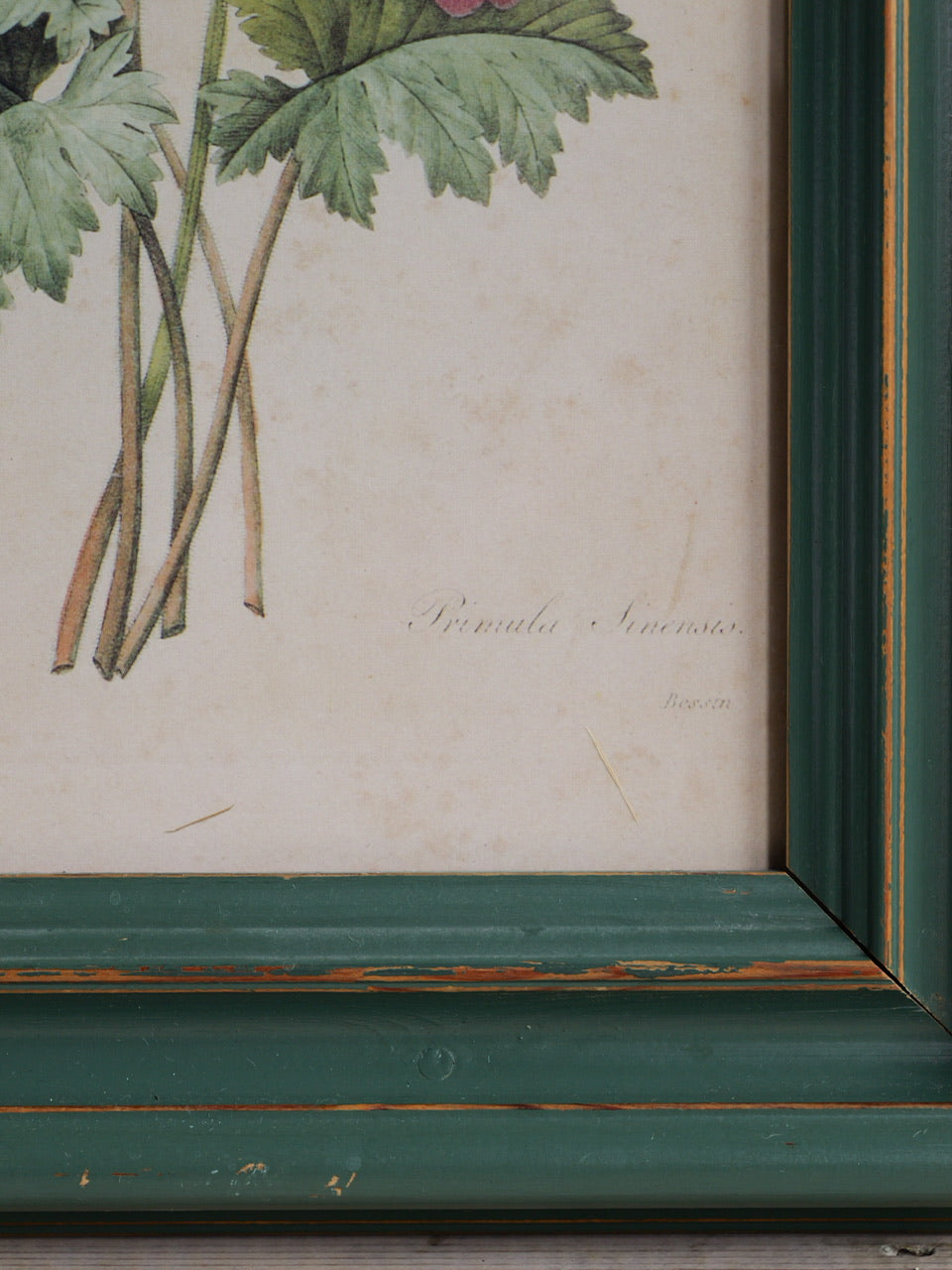Vintage Floral Print by PJ Redoute