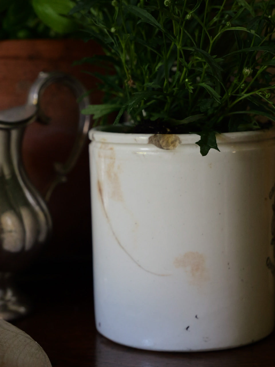 Antique James Keiller & Sons Marmalade Pot
