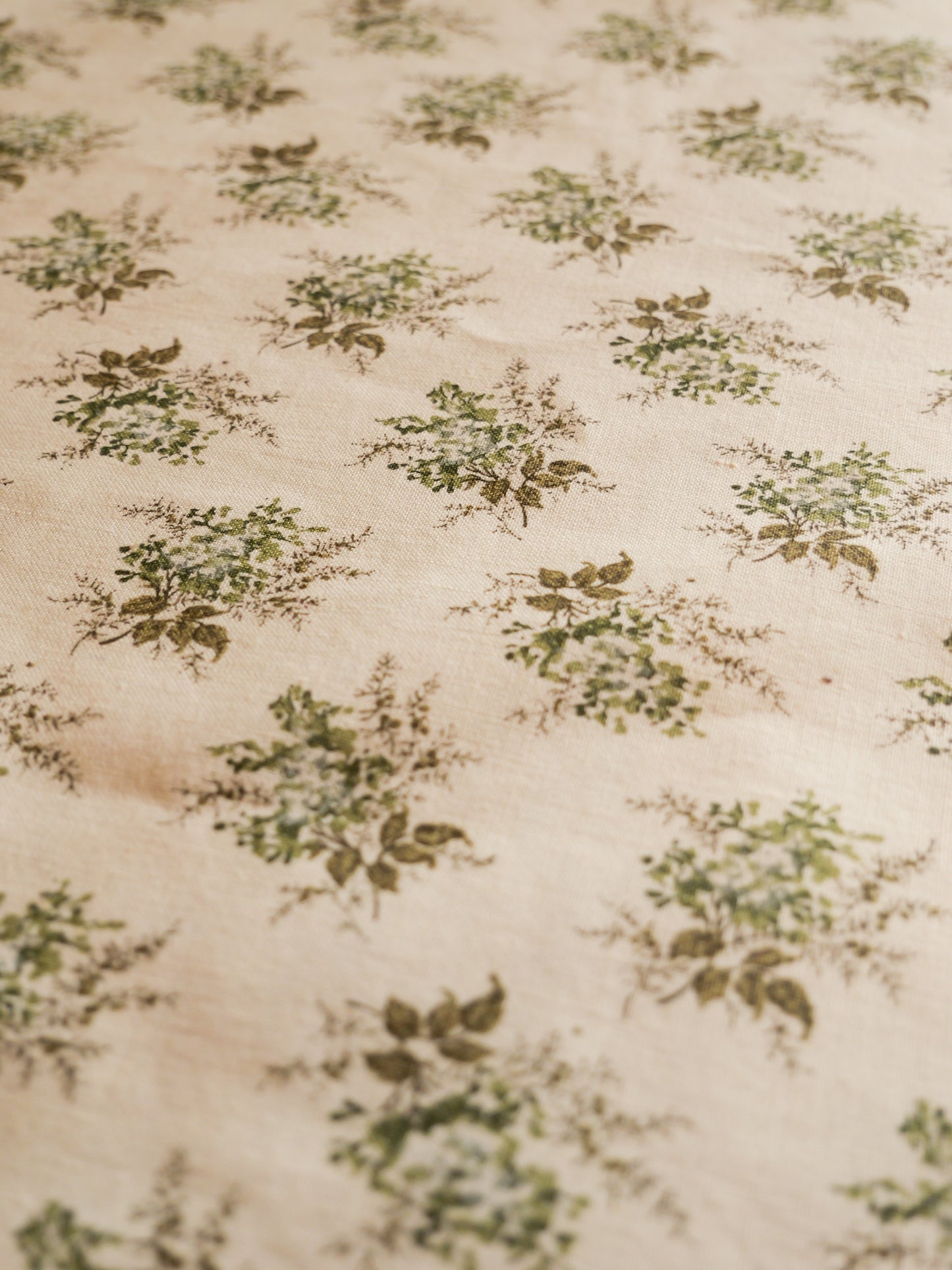 LENGTH: Vintage Green Sprig Cotton