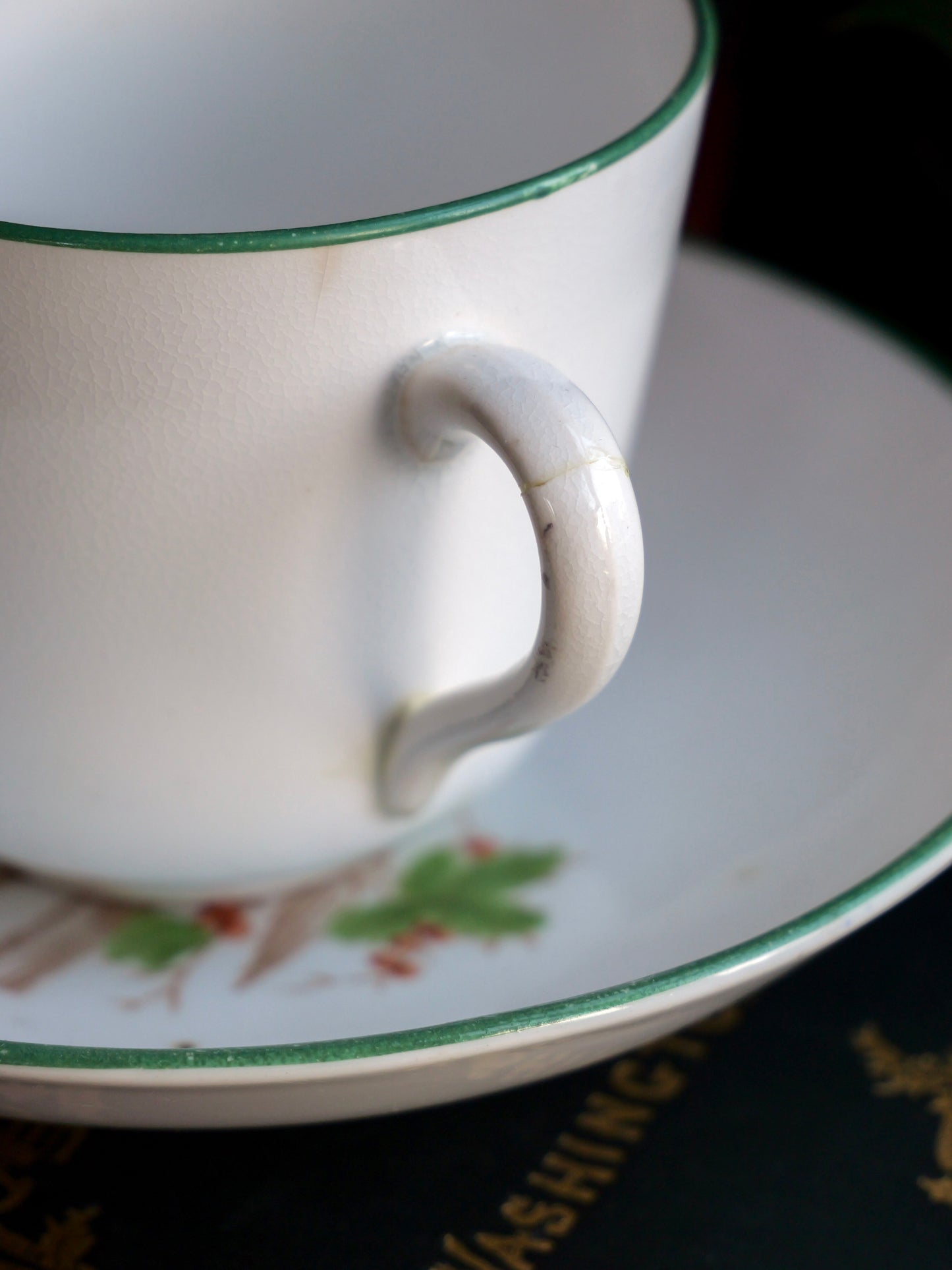 Victorian Robin Cup and Saucer