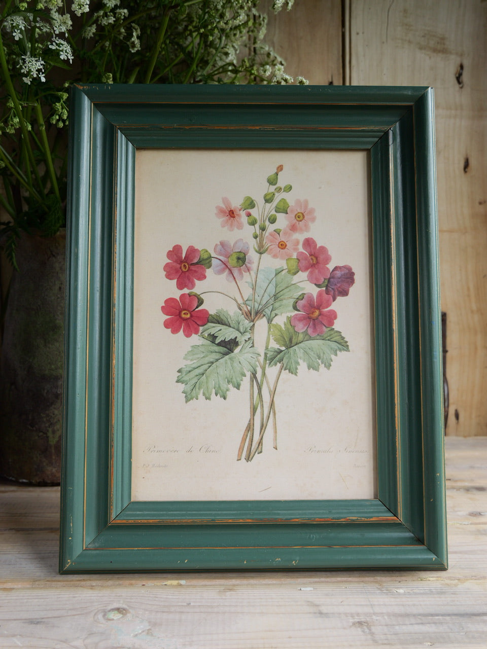 Vintage Floral Print by PJ Redoute