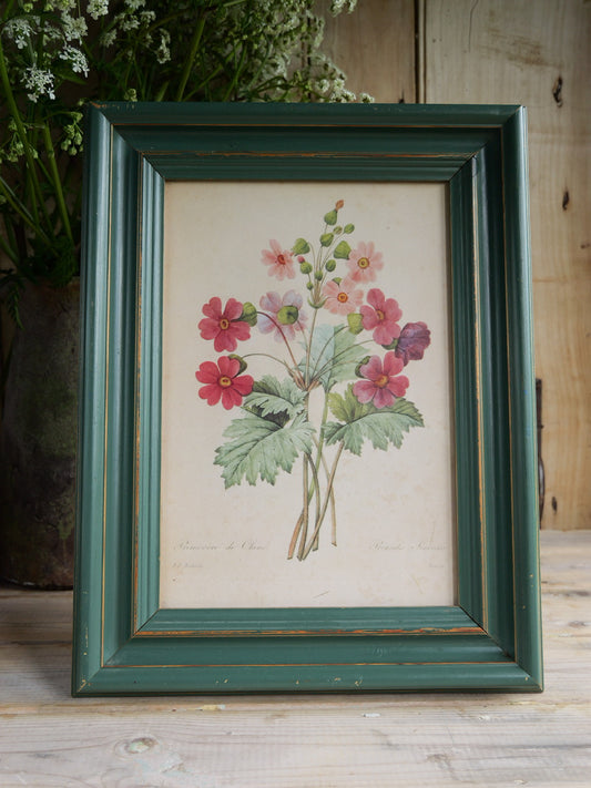 Vintage Floral Print by PJ Redoute