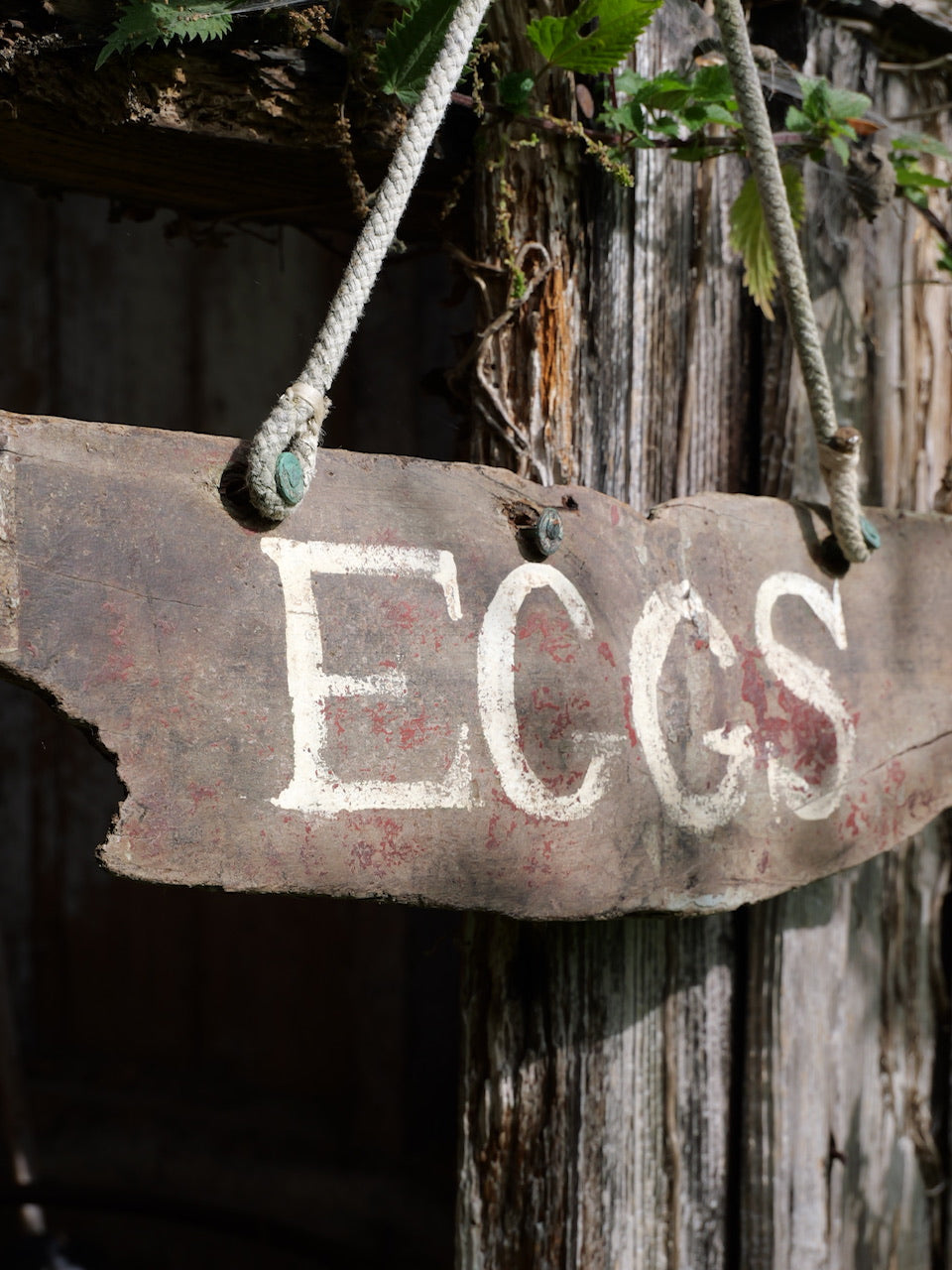 Vintage ‘Eggs’ Sign