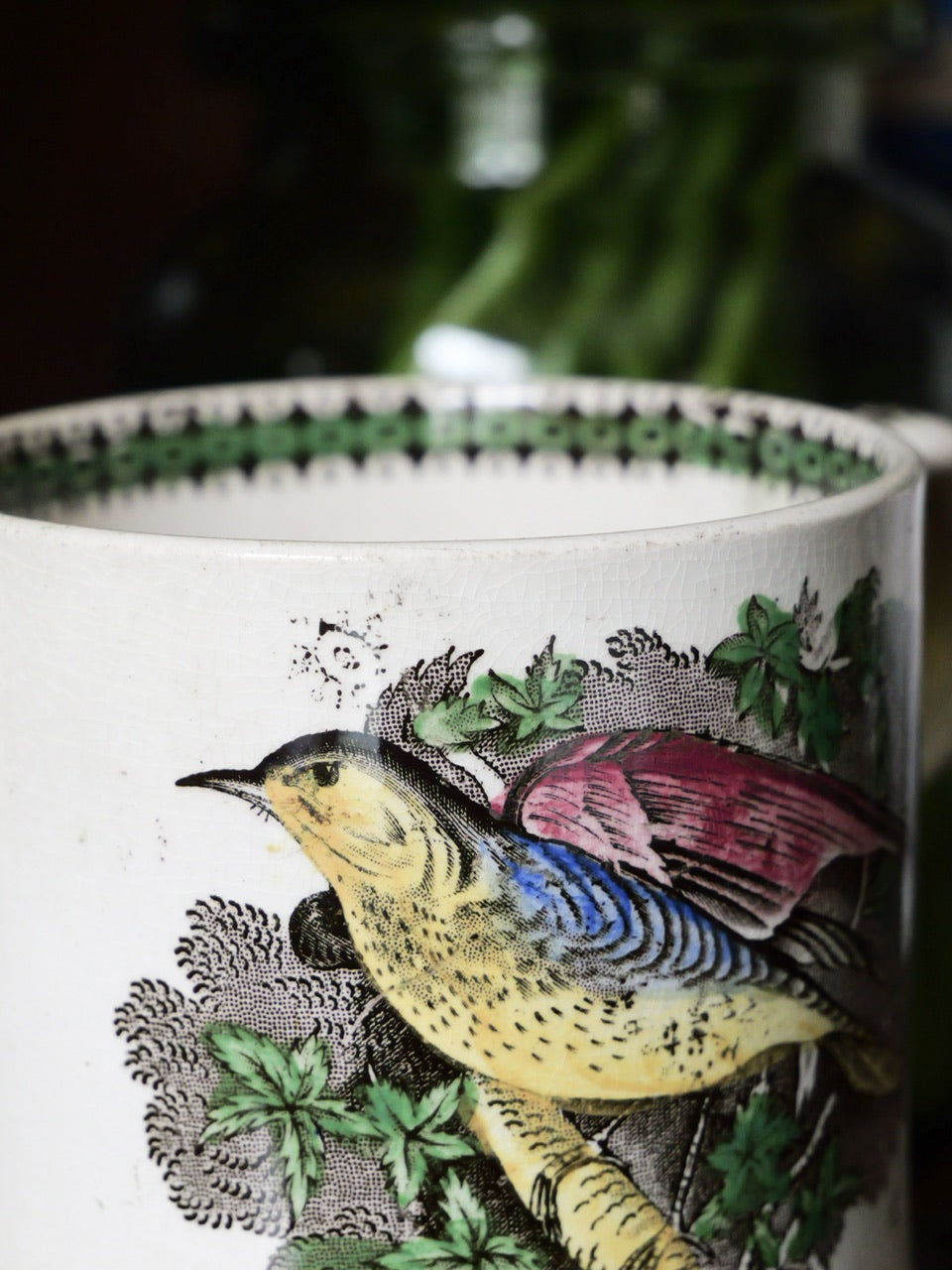 19th Century Hand Coloured Bird Mug