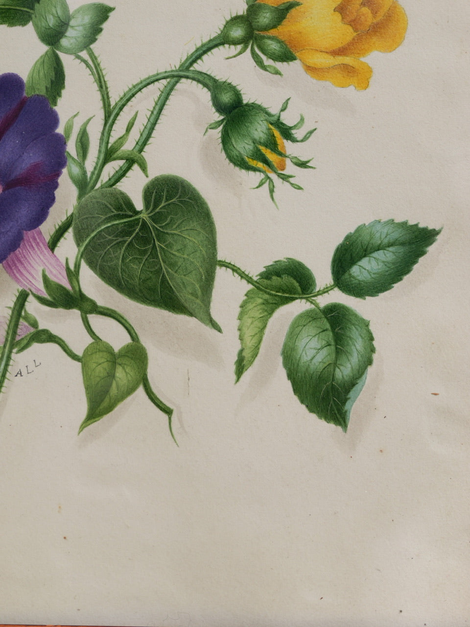 19th Century Victorian Floral Watercolour Painting