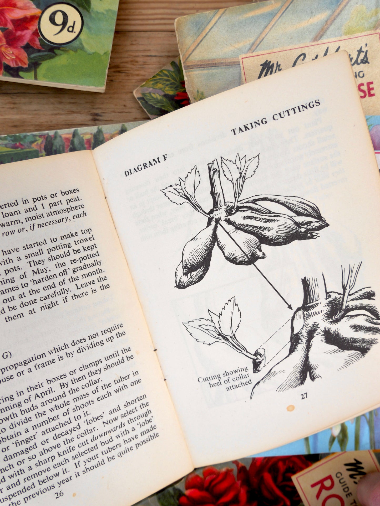 Vintage ‘Mr Cuthbert’s’ Gardening Guides